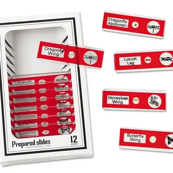 NEW! Prepared Microscope Slides by Lakeshore Learning - unused, still in boxes - Picture 2 of 11